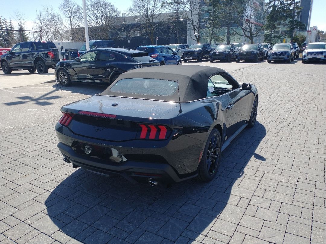 new 2025 Ford Mustang car, priced at $55,875