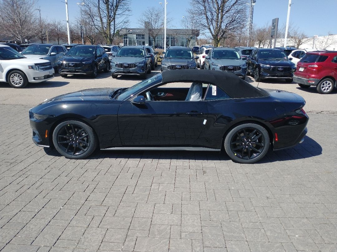new 2025 Ford Mustang car, priced at $55,875