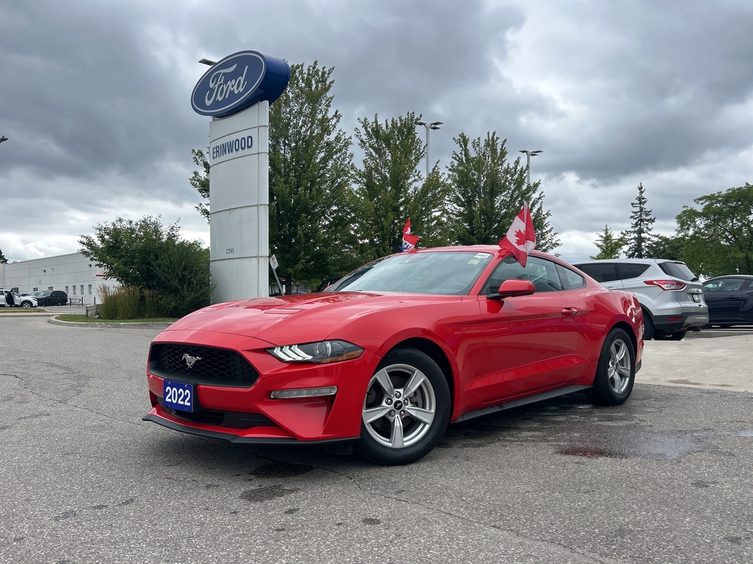 used 2022 Ford Mustang car, priced at $34,000