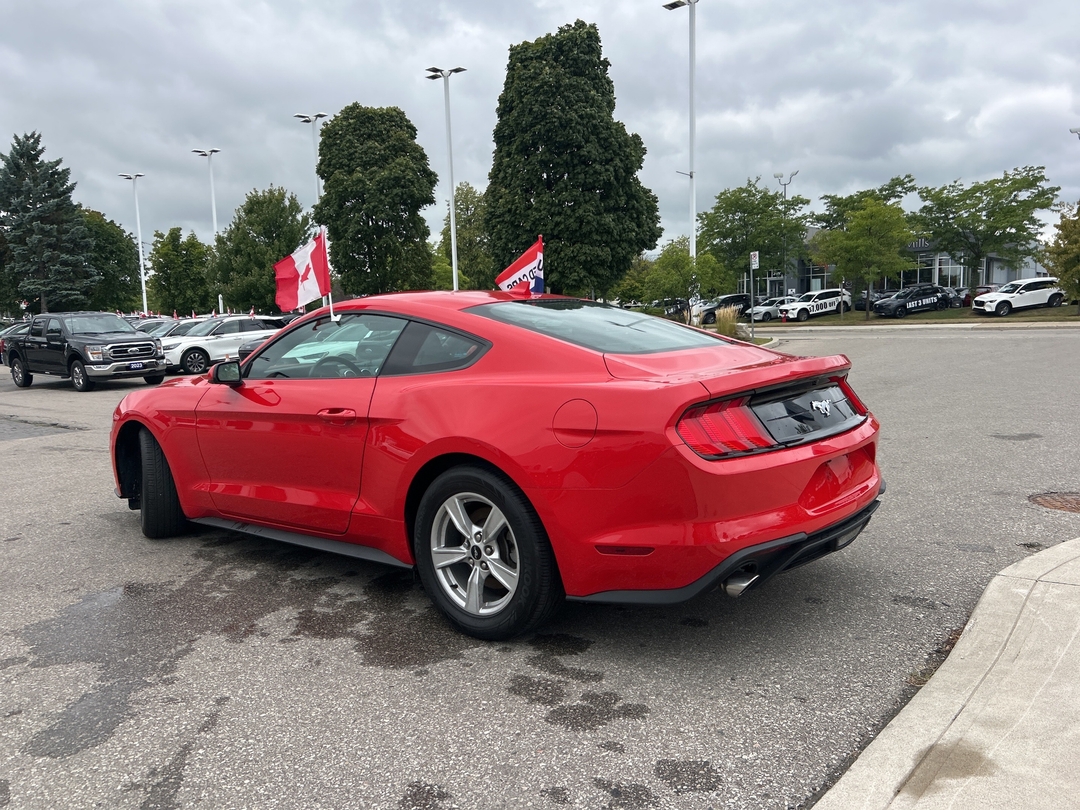 used 2022 Ford Mustang car, priced at $34,000