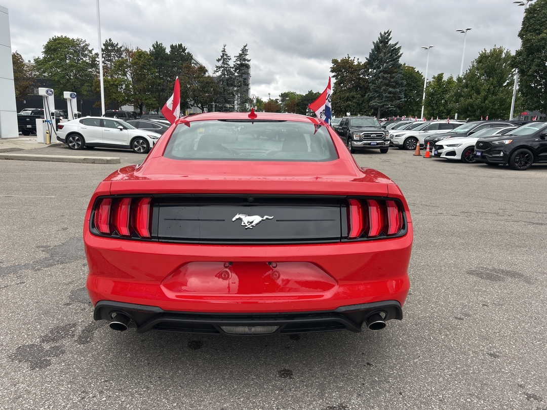 used 2022 Ford Mustang car, priced at $34,000