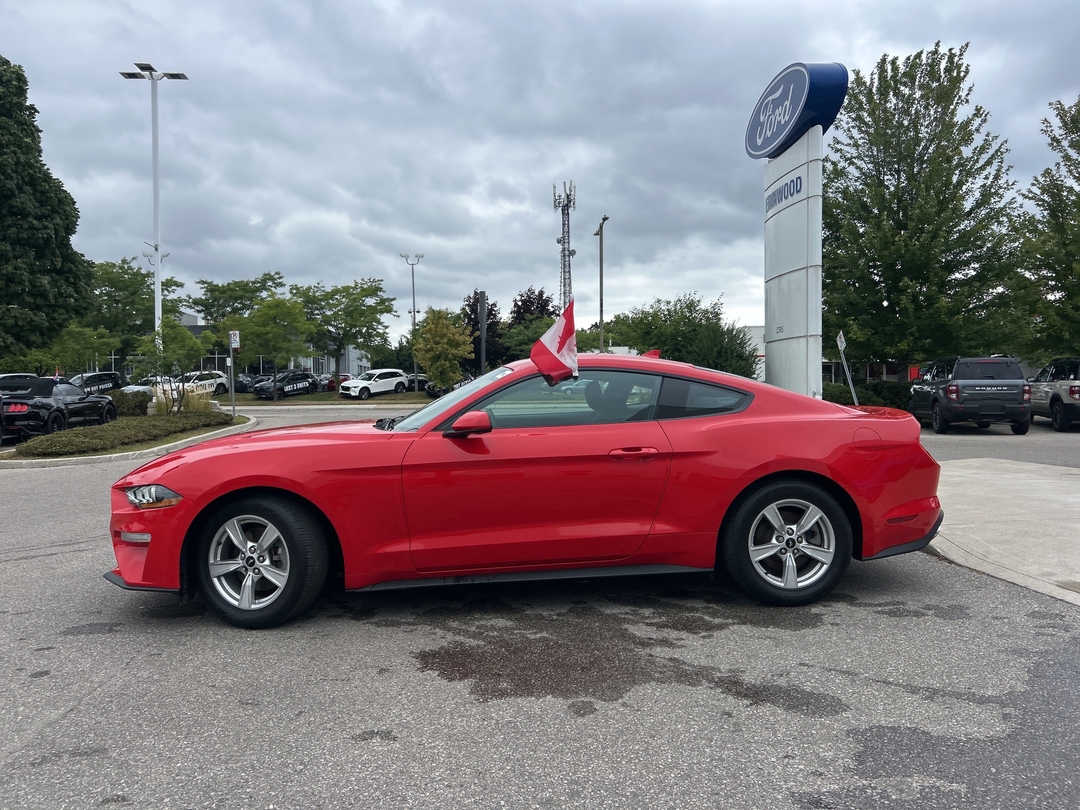 used 2022 Ford Mustang car, priced at $34,000