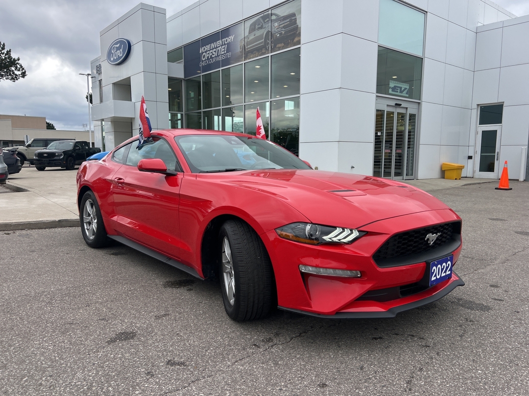 used 2022 Ford Mustang car, priced at $34,000