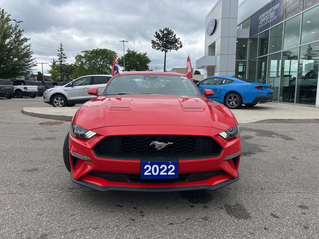 used 2022 Ford Mustang car, priced at $34,000