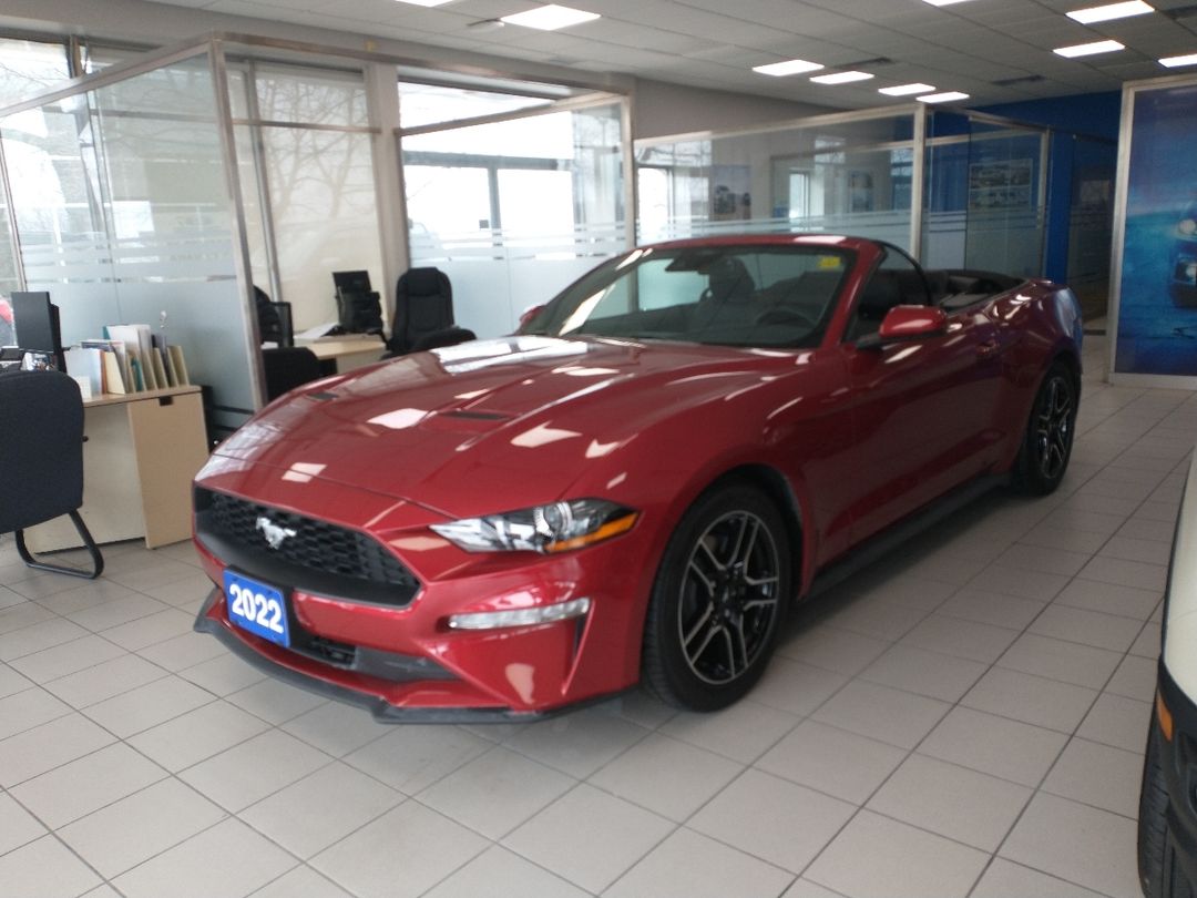 used 2022 Ford Mustang car, priced at $38,998