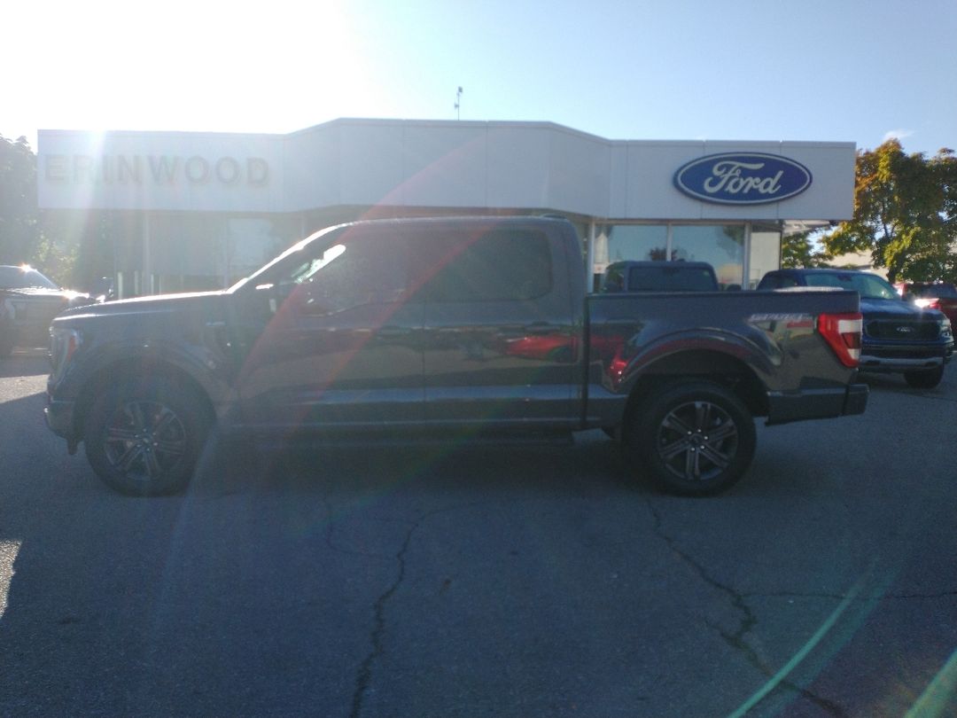 used 2021 Ford F-150 car, priced at $49,998