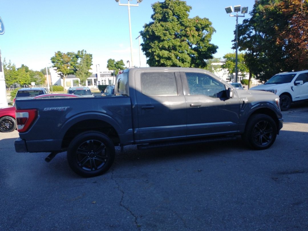 used 2021 Ford F-150 car, priced at $49,998