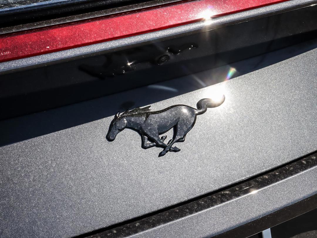 new 2024 Ford Mustang car, priced at $56,175