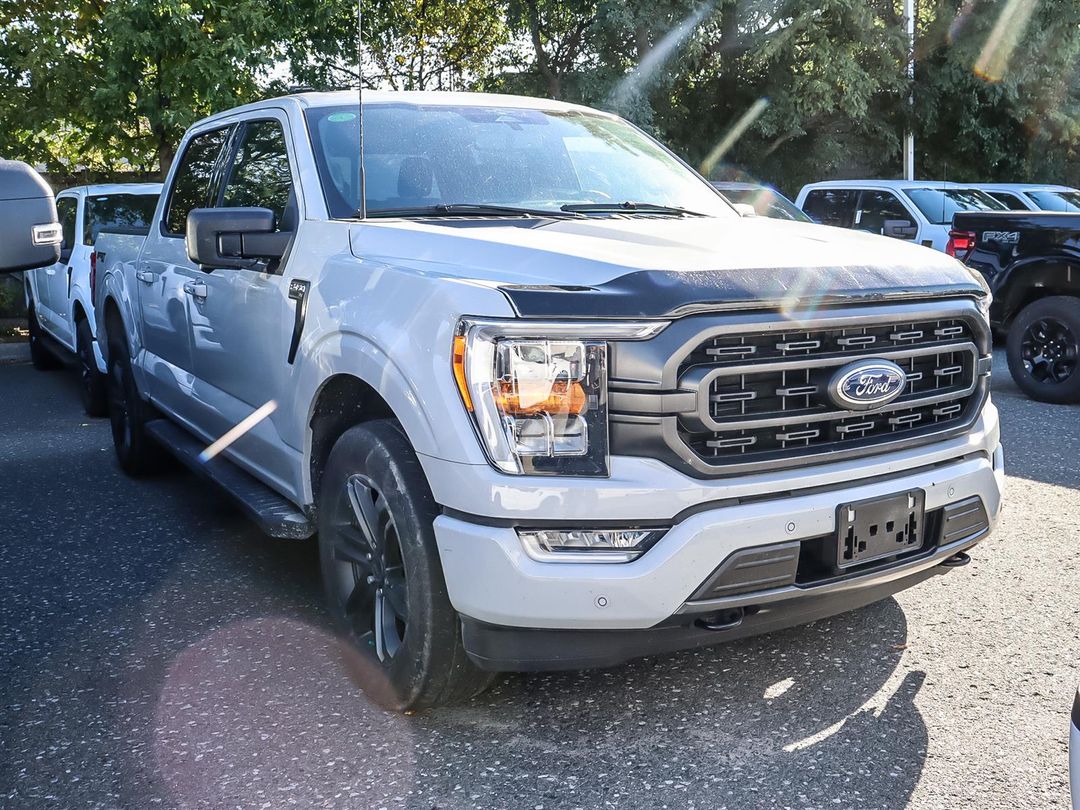 used 2023 Ford F-150 car