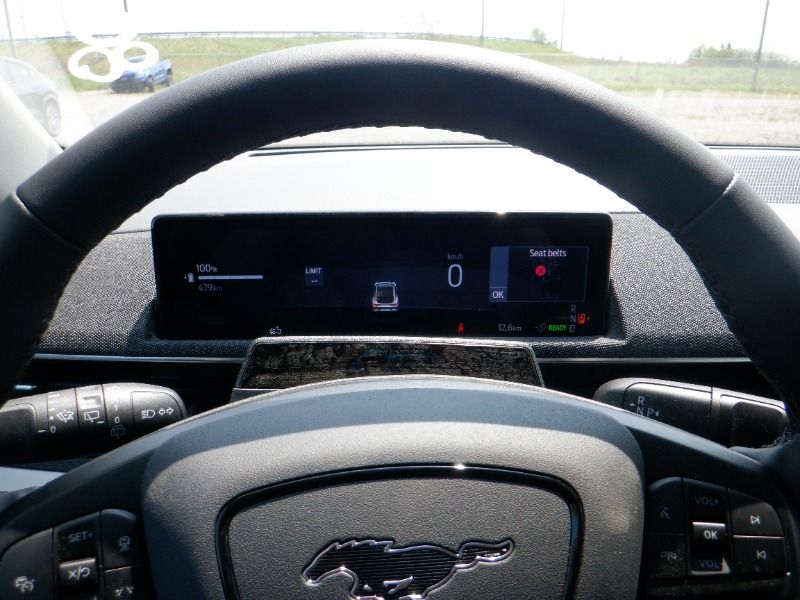 new 2025 Ford Mustang Mach-E car, priced at $68,830