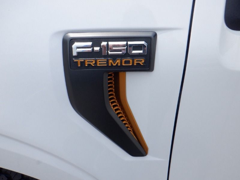 new 2025 Ford F-150 car, priced at $81,455