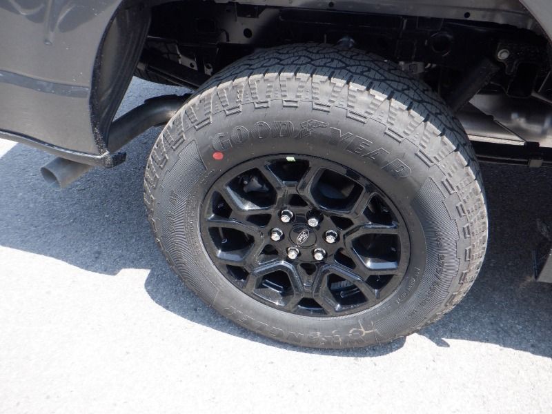 new 2025 Ford F-150 car, priced at $80,875