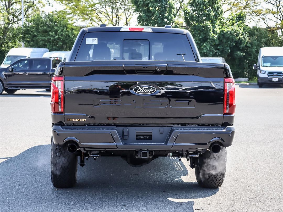 new 2025 Ford F-150 car, priced at $81,175