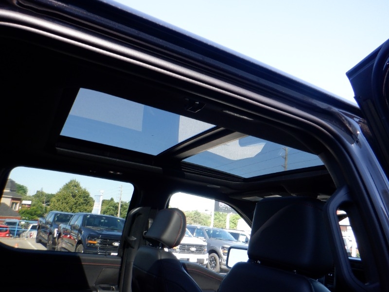 new 2025 Ford F-150 car, priced at $113,270