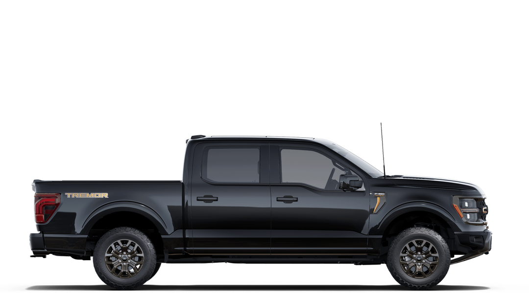 new 2025 Ford F-150 car, priced at $95,490