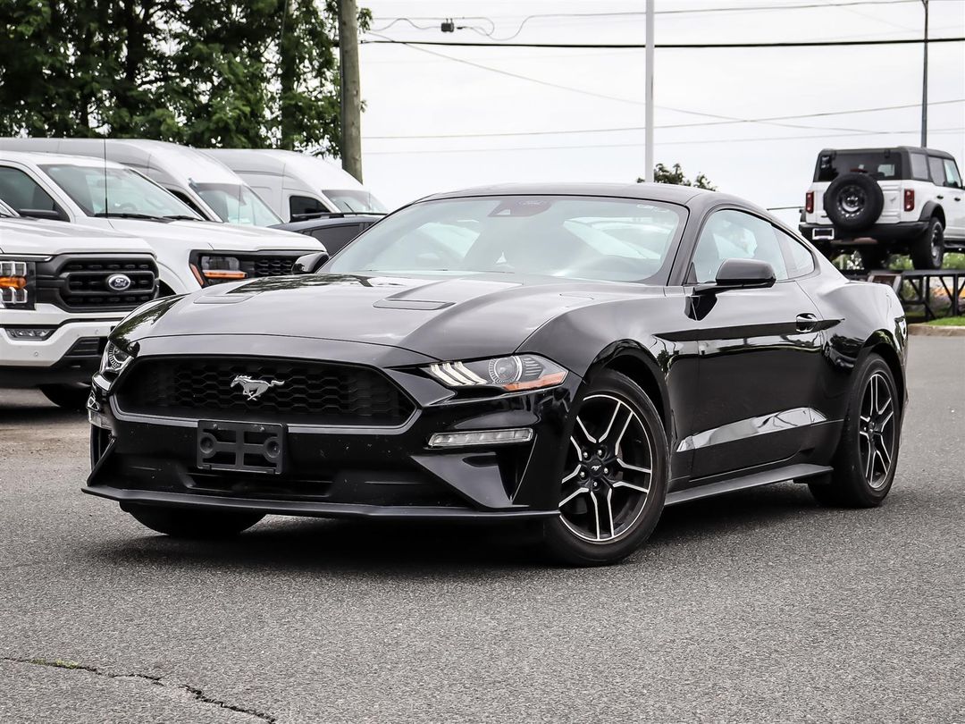 used 2021 Ford Mustang car