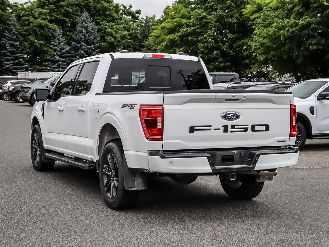 used 2023 Ford F-150 car