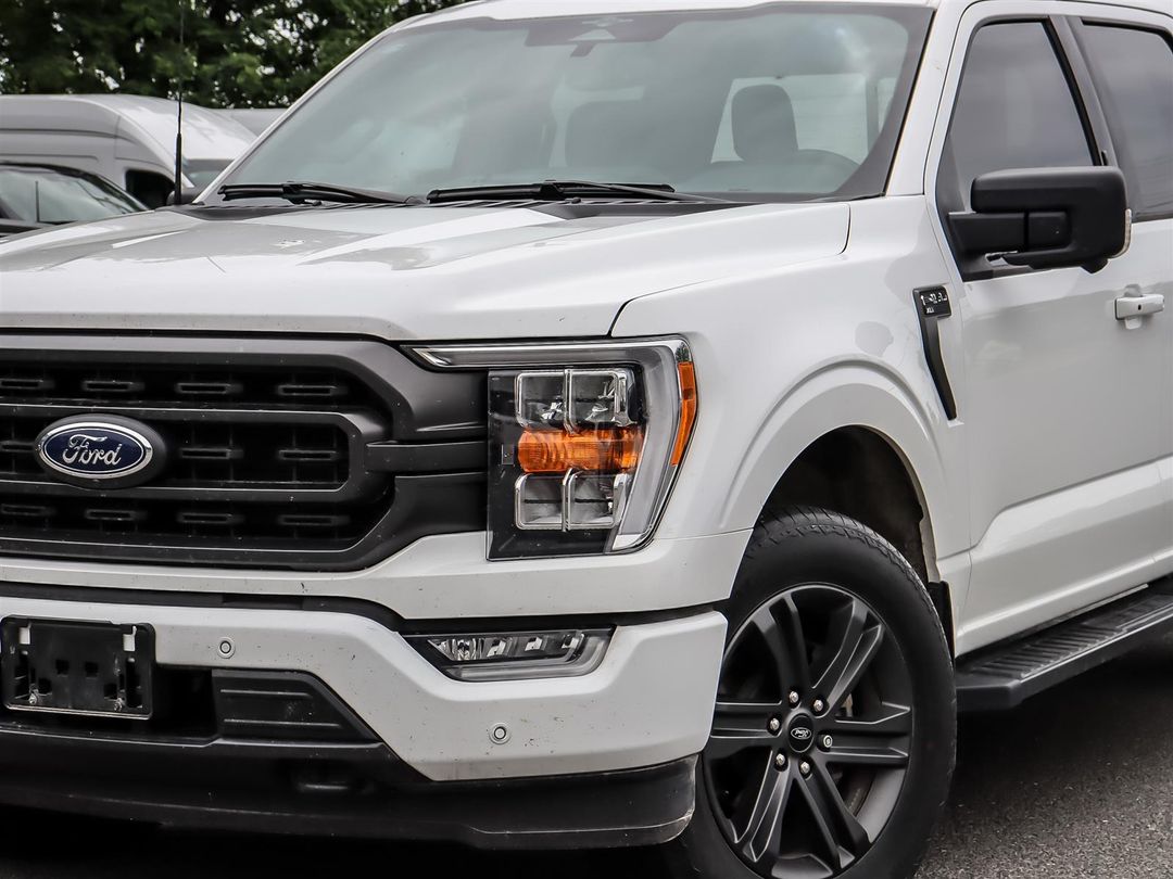 used 2023 Ford F-150 car