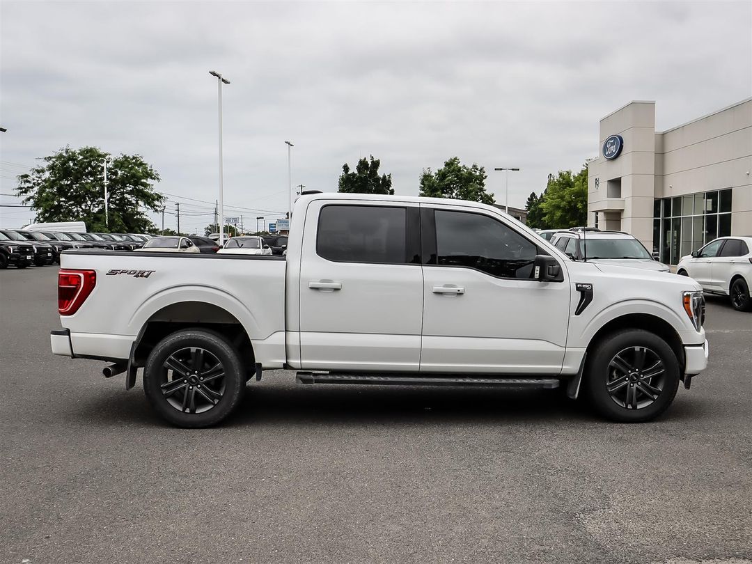 used 2023 Ford F-150 car