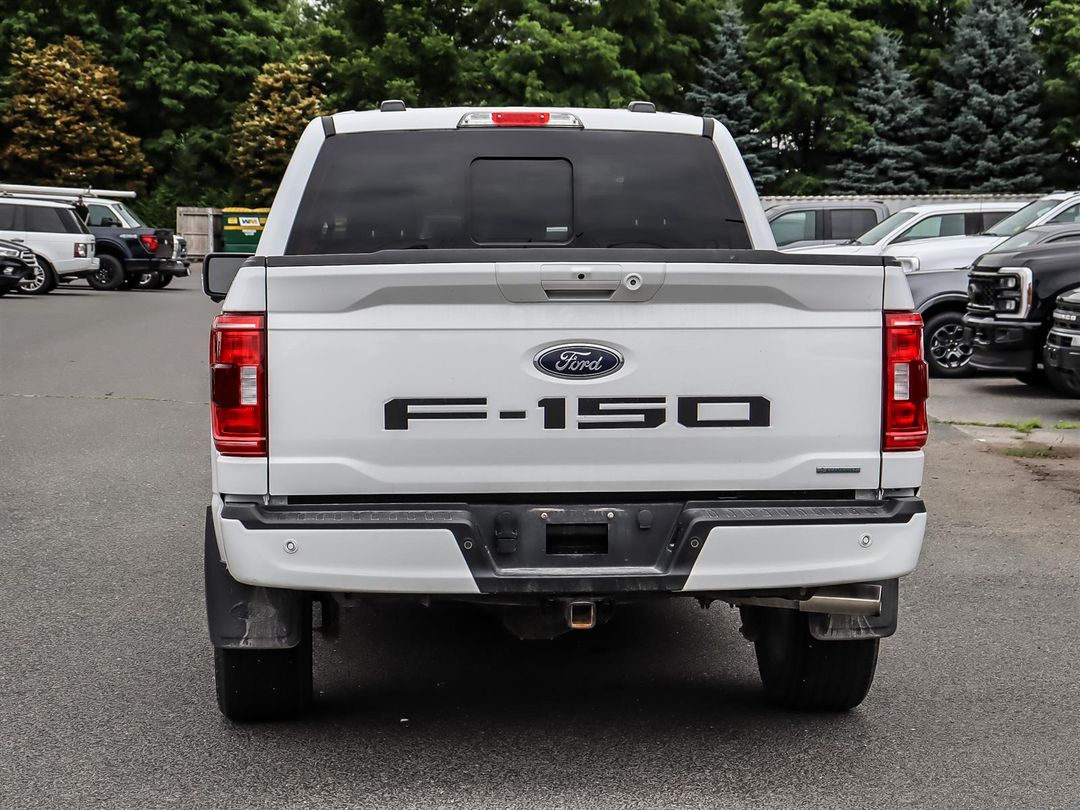 used 2023 Ford F-150 car