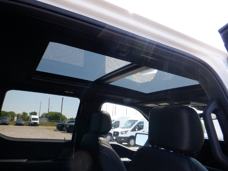 new 2025 Ford F-150 car, priced at $113,320